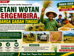 Panen Raya di Wotan Sukolilo Pati dipenuhi keceriaan.