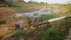 Silugonggo Menyusut, Petani Pati Terancam Krisis Air