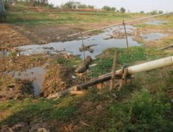 Silugonggo Menyusut, Petani Pati Terancam Krisis Air
